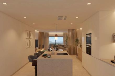 Gallery 6