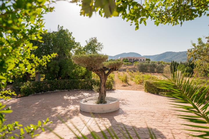 Property Gallery 11