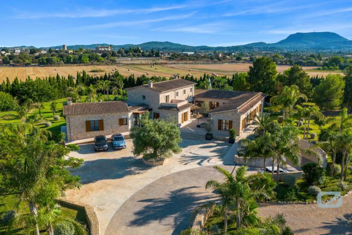 Property Gallery 20