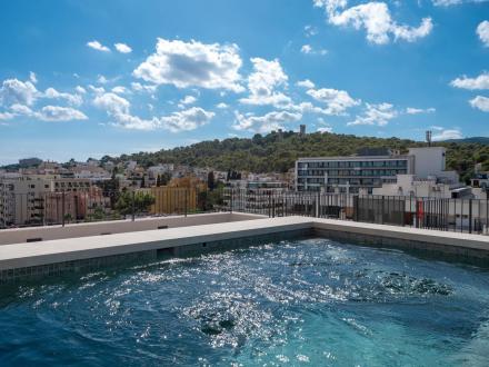 Luxurious Penthouse with Roof Terrace and Plunge Pool in Son Armadams