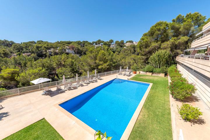 Property Gallery 17