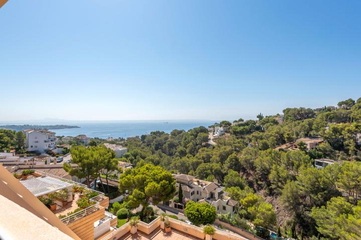 Property Gallery 1