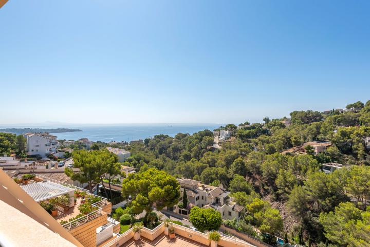 Geräumiges Penthouse mit Meerblick in Cas Catala