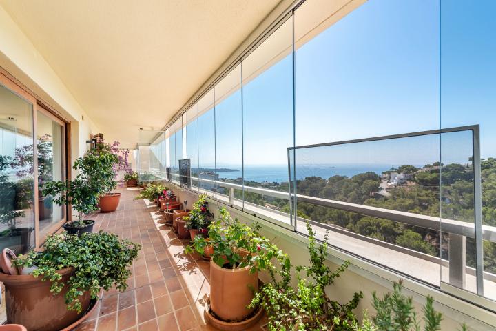 Property Gallery 16
