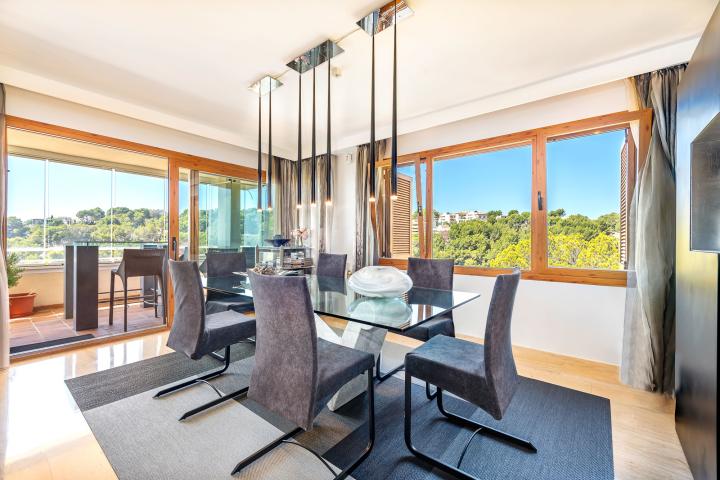 Property Gallery 7