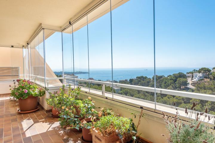Property Gallery 2