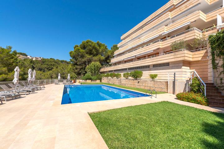 Property Gallery 4