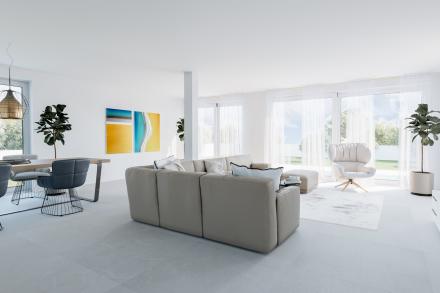 Gallery 6
