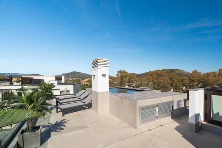 Property Gallery 15
