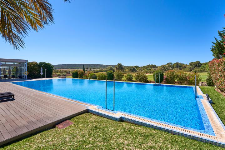 Property Gallery 30