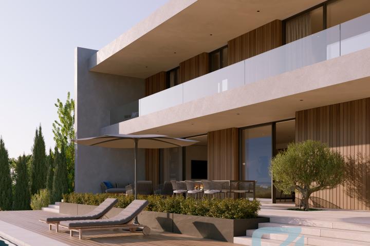 Property Gallery 12