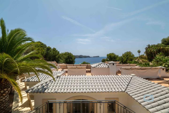 Property Gallery 23
