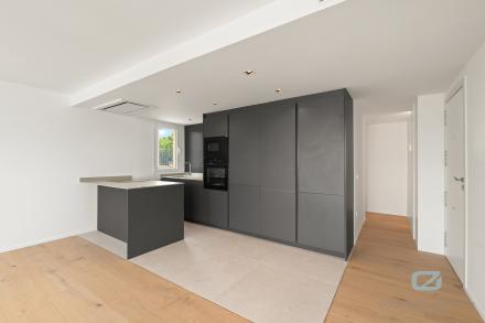 Gallery 8