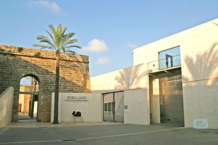 Property Gallery 13