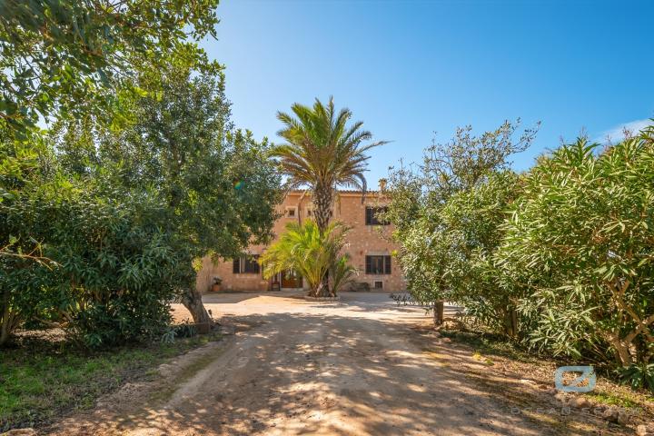 Property Gallery 11