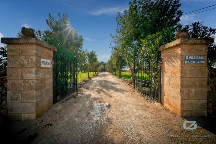 Property Gallery 30
