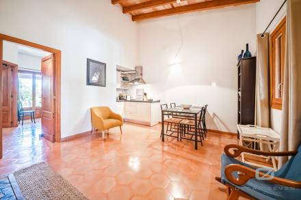 Gallery 6