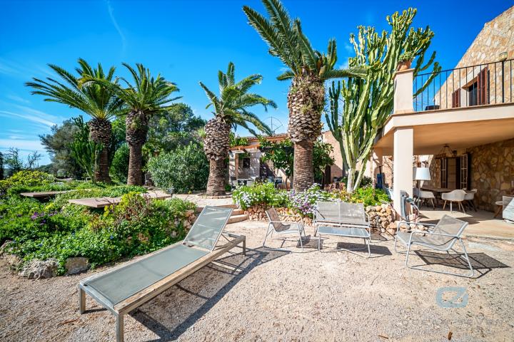 Property Gallery 25