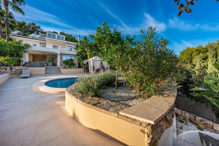 Property Gallery 20