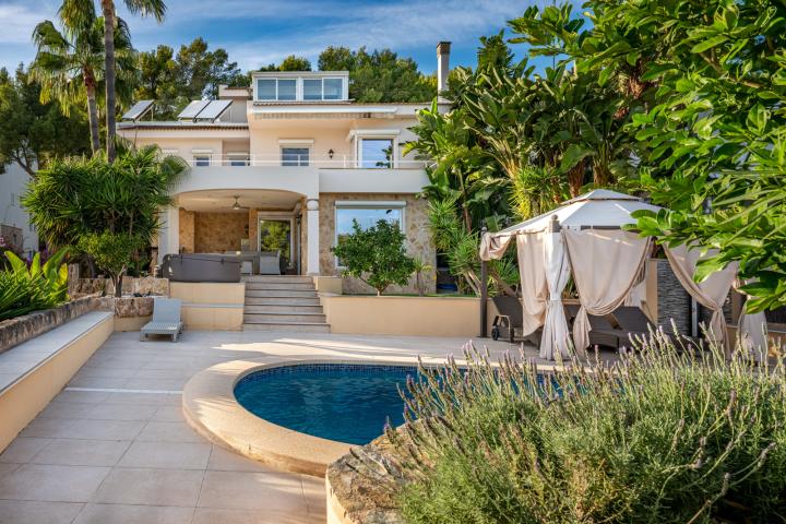 Property Gallery 19