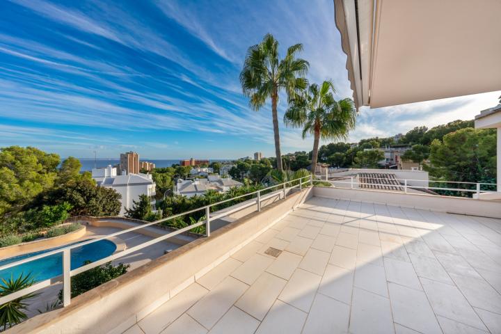 Property Gallery 18